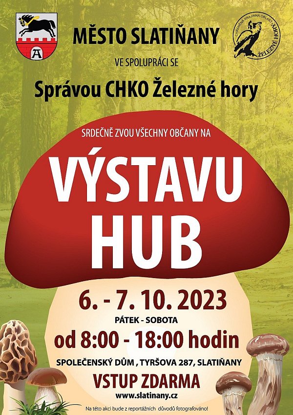Obrázek